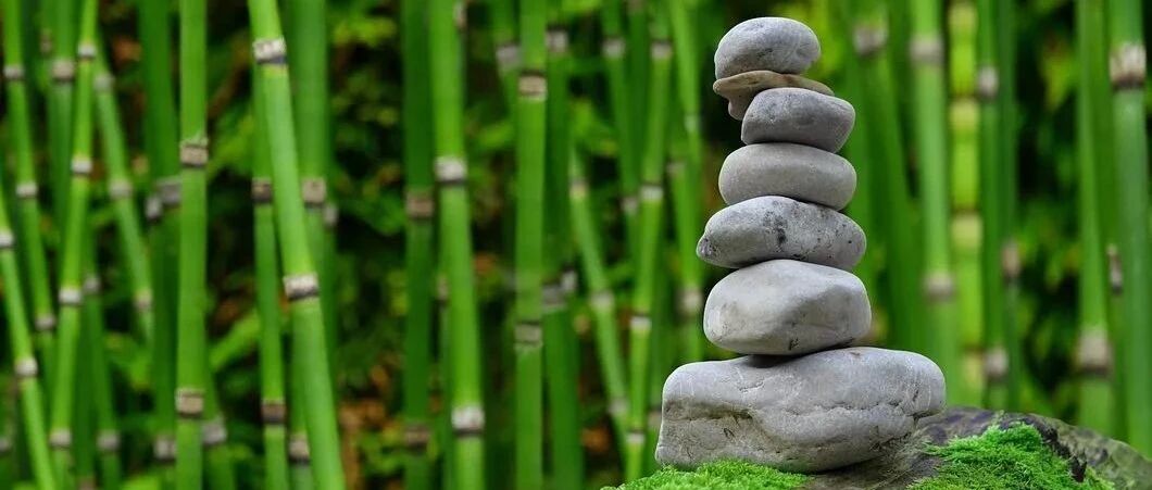 世上所有疾病都是假象,读完醍醐灌顶!