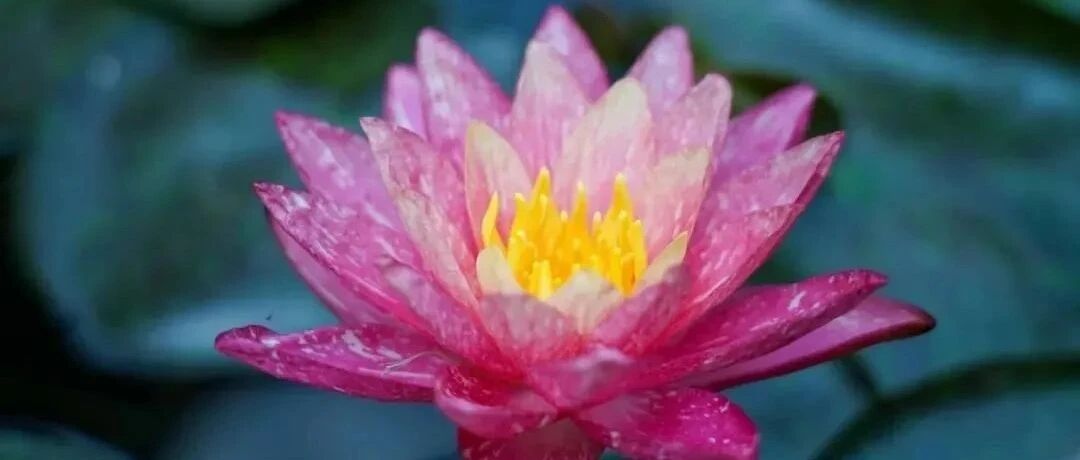 想给自己增加福报吗?做好这10件小事也可以