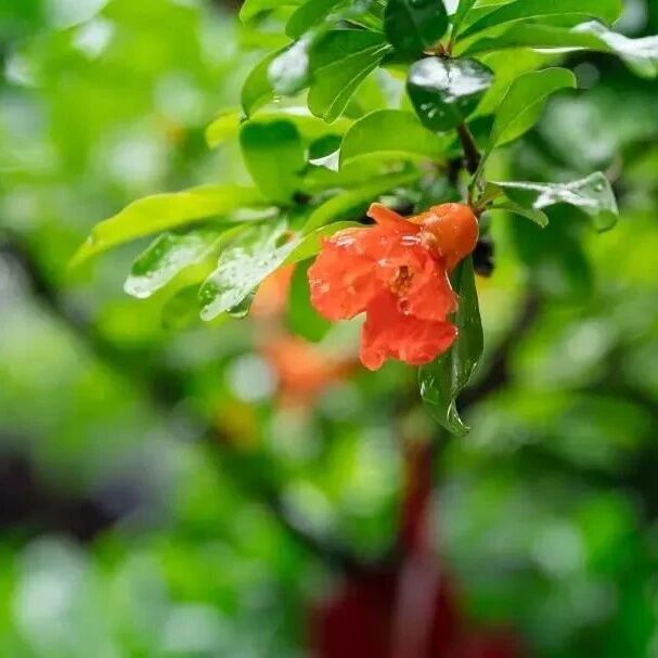 时时守好自心有多重要?