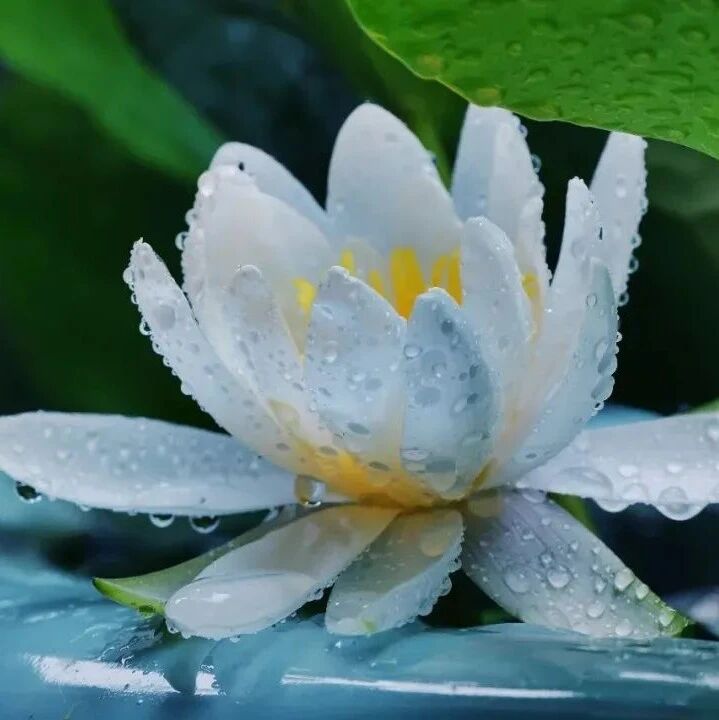 念佛时出现“黑影”是怎么回事?