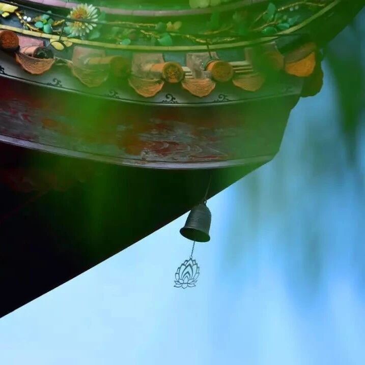 “学佛越久,离佛越远”,你也是这样的吗?