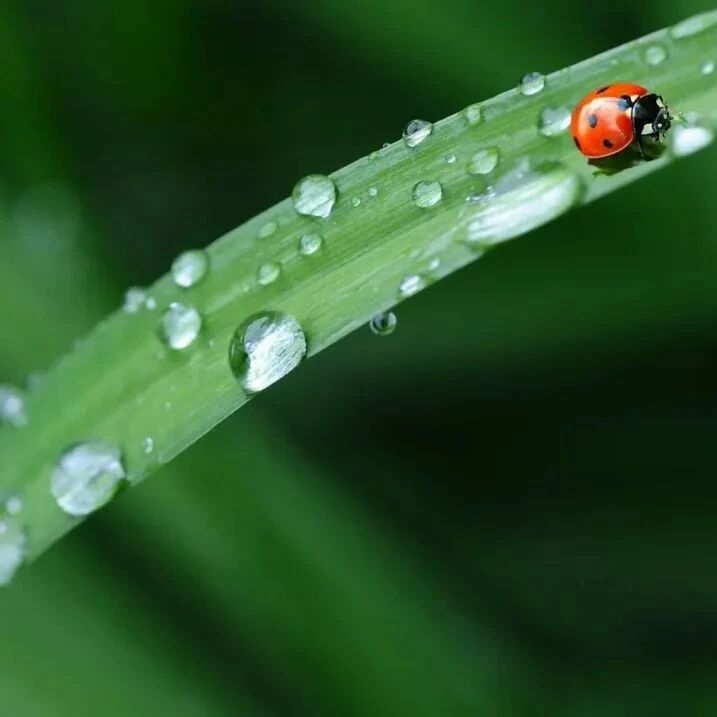 人生六种观自在,看看你做到了几种?