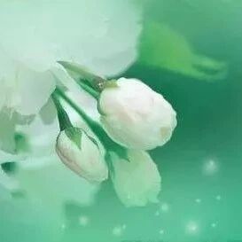 偿还内心的债务