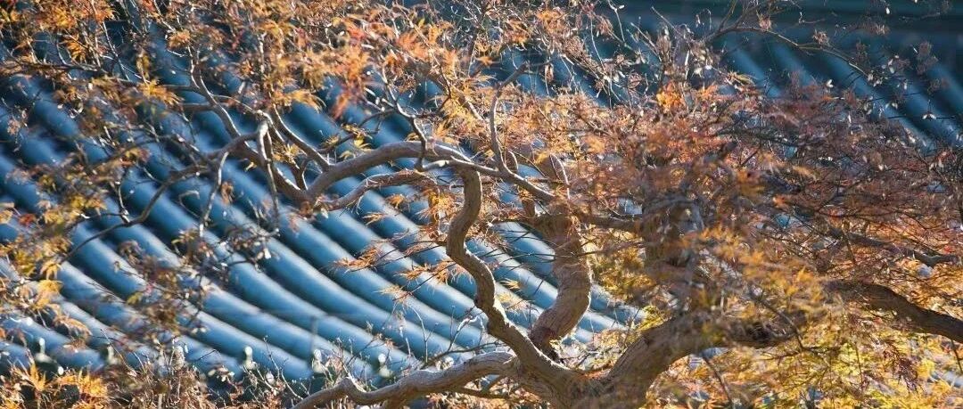 古人说豪宅有“三不得”,你家有这种情况吗?