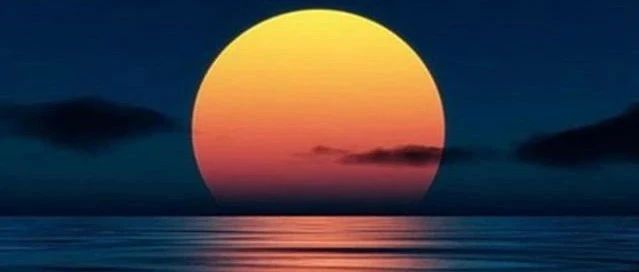 礼佛要领|拜佛及问讯动作图解