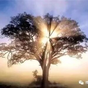 祭祖的日子到了,祭祖每年是5次