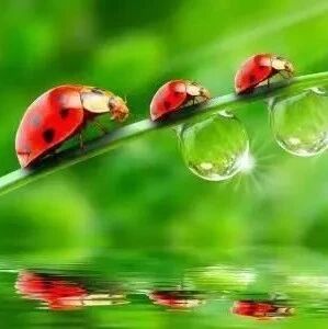 这样靠墙10分钟,等于跑步2小时,全身气血都通了!这10种人更要练习!