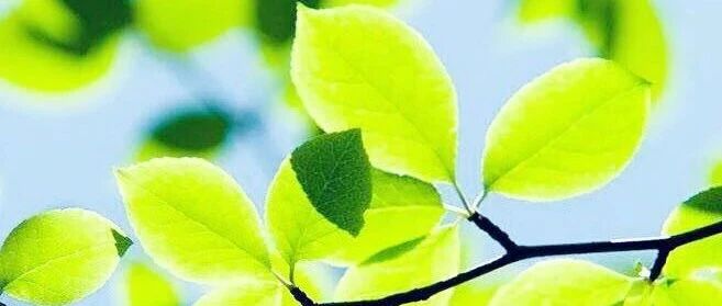 希望每个人至少在一年中帮助一个众生!