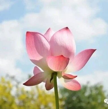 孝顺公婆和孝顺娘家父母一样重要,这是在给自己培福呢,同时也是给子孙培德呢。