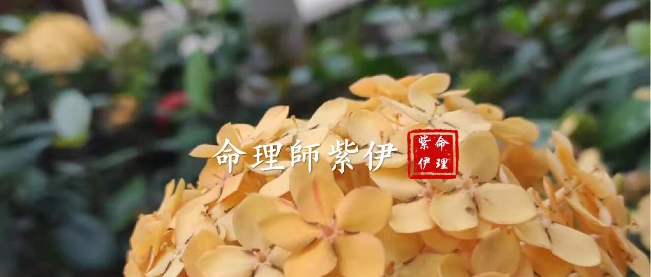 住宅风水|“活水旺财,死水破财”你不可不知的真相