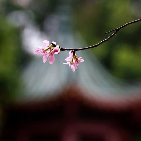 你住几层楼?(终身受益)