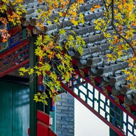 穷不坑朋友,富不忘恩人(说的真好)