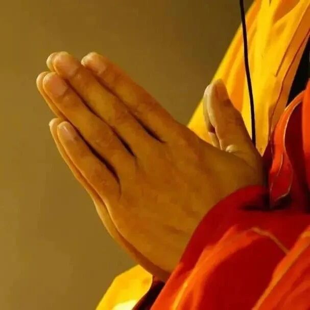 8岁沙弥拒绝女子拥抱,语出惊人、直指人心!