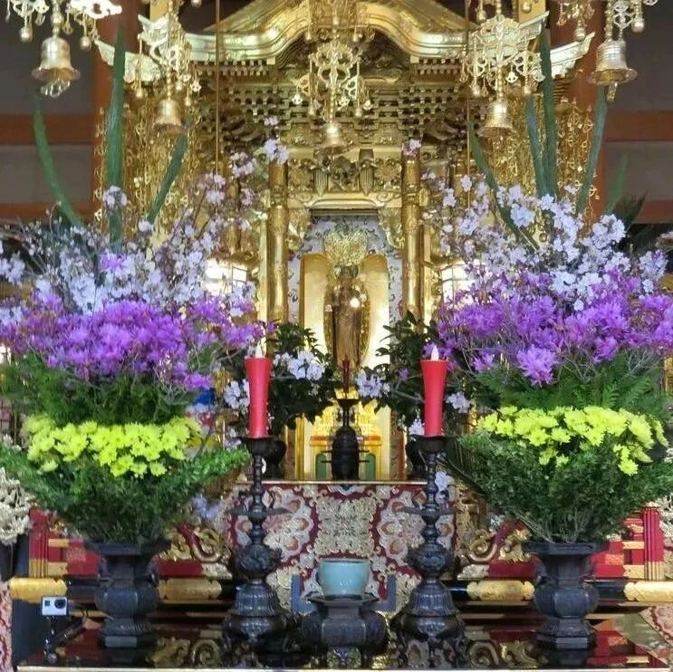 做“供养”要具足这三个要点,才叫圆满!