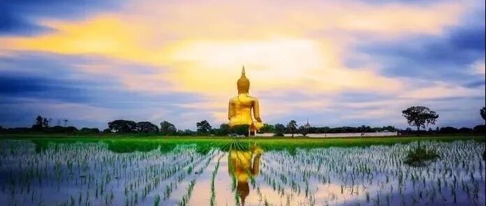 痛苦,是因为在用错误的方式生活