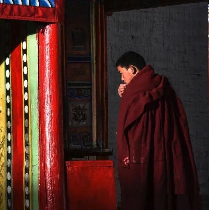 实在不行,就把自己关起来,别让自己吃饭!