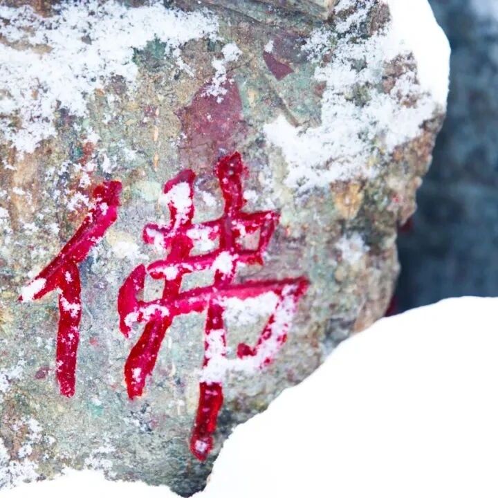 真心本性就在目前,它作用有住就是我,作用无住就是佛呀