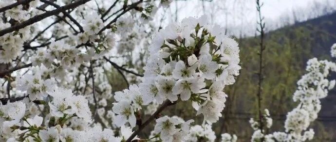 点亮生命的热爱