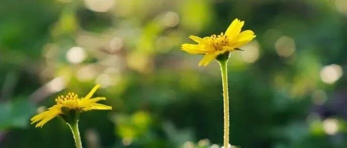 延参法师:祝福明天的美好与希望