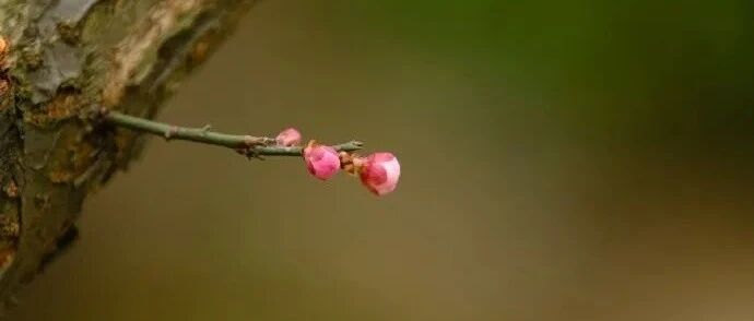 延参法师:流年细数的温暖