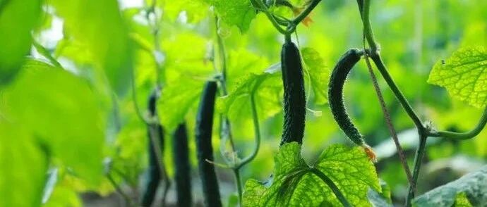 延参法师:温暖所有远去的曾经