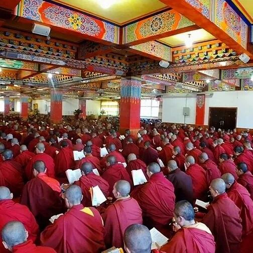 索达吉堪布:共修的力量确实远远超过个人修行。