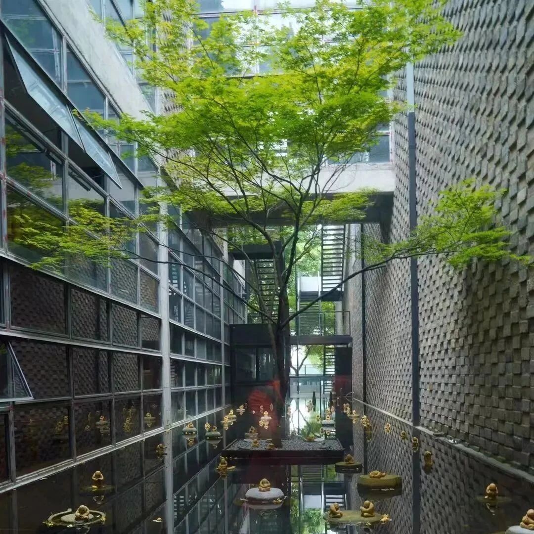 “诵念佛号,代大众忏悔,以祈求消灾降临吉祥”