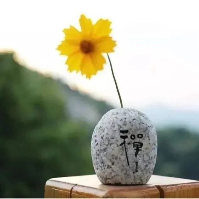 三界本无一法 皆是真心起妄