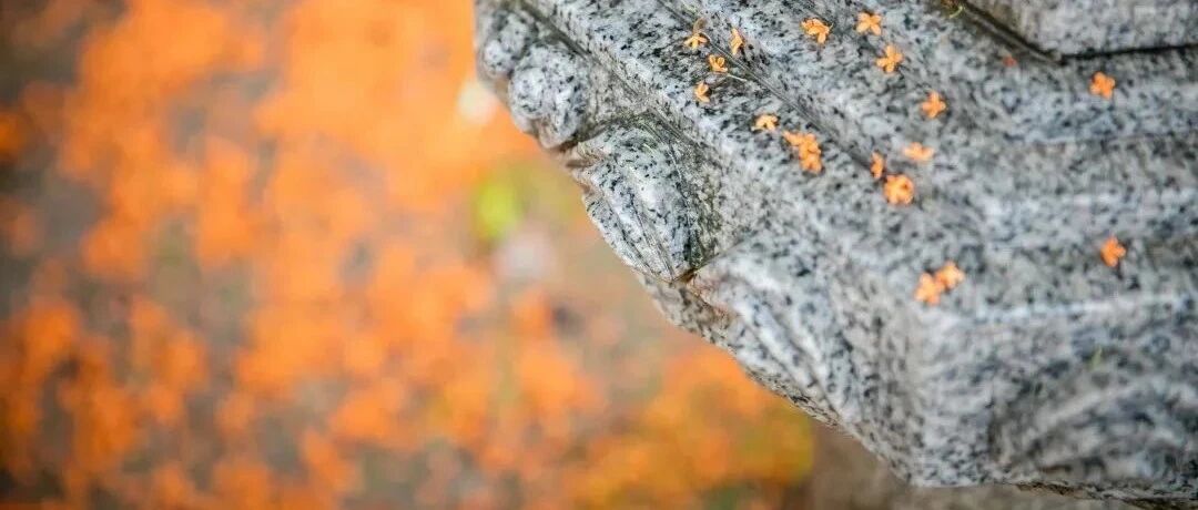 现代因果:因为异样的血迹,他放弃了300万美金的订单,结果……