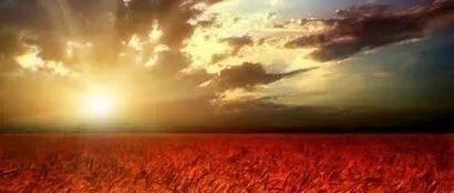 你这样发心,想不富贵都难!