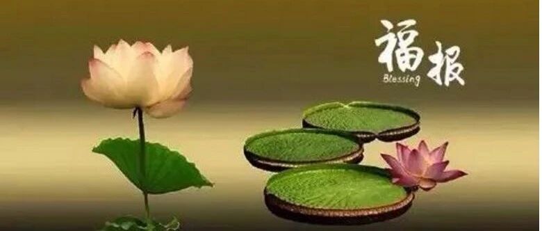 为什么有的人一生尽享福?