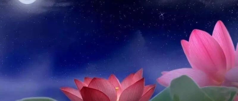 我们礼佛前,这个愿,一定要发