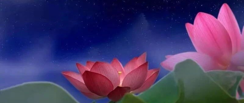 出轨、外遇、一夜情,都是极严重的孽缘,再有福也经不起消耗!