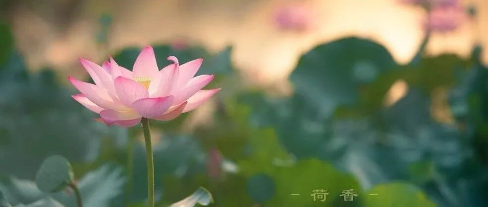 父母做到这两点,能快速为儿女积攒福报!