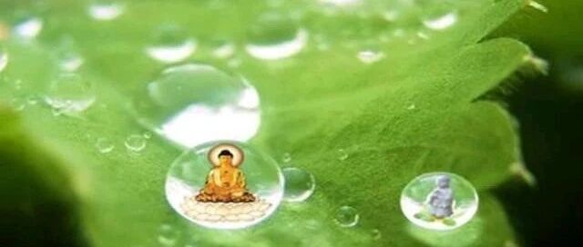 念经时要供养,可以这样做