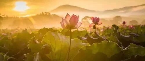 不供养这两尊菩萨,永远无法富裕!