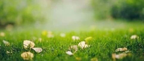 如何对治可怕的业力?