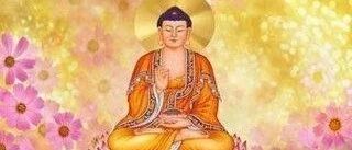 早晨诵经太重要了,学佛人都应该做到!