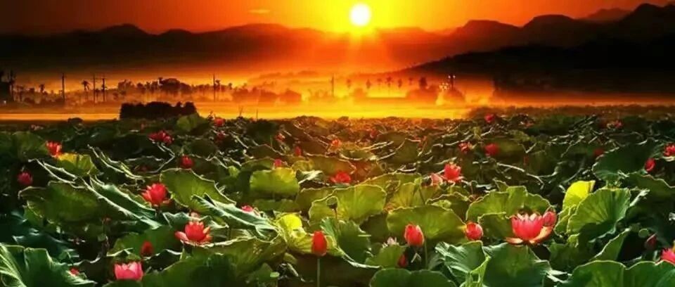 新年祈福,这一点一定要知道!