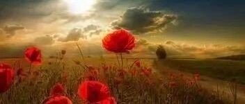 母亲信佛念佛,子女竟然会有如此大的好处!