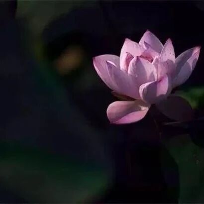 嗔心的严重过失