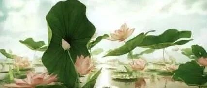 精勤如山王,不如积微福