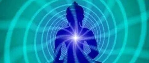 清楚了知的原则、安住当下的能力!