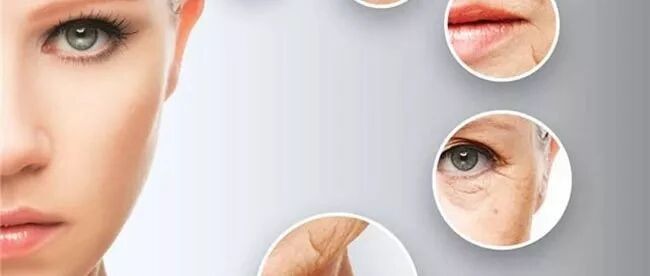 抗衰老美容,试试酵素!